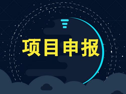 企業(yè)可以獨自申請項目補貼嗎？成功率怎么樣？