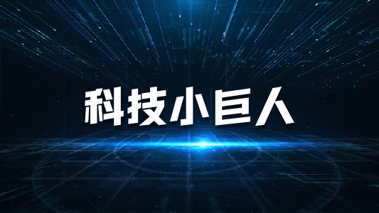 東莞市專精特新中小企業(yè)申報(bào)條件、補(bǔ)貼