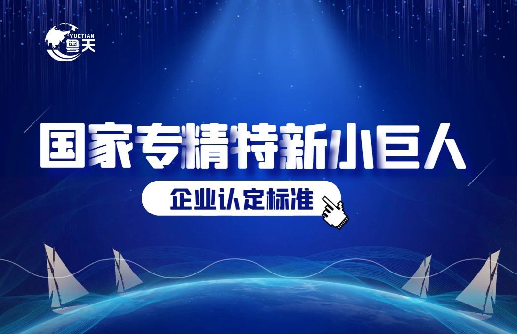 國家專精特新小巨人企業(yè)認定標準